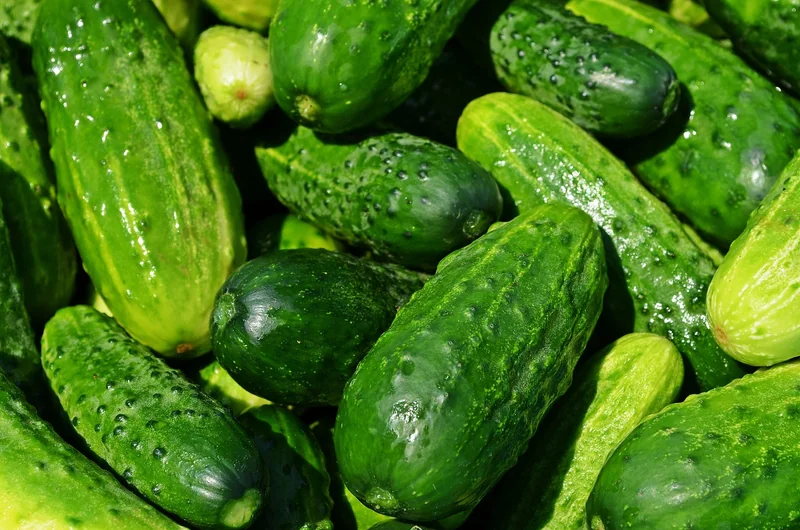 Comment explorer les marchés alimentaires comme un pro