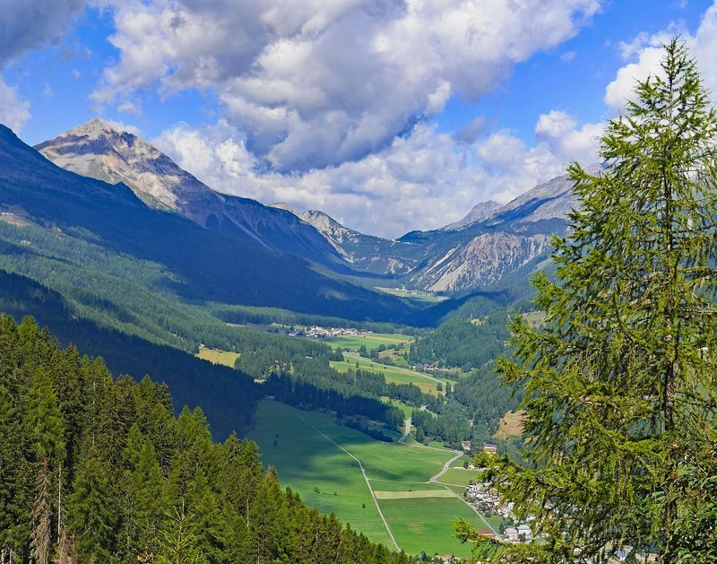 Suisse : le Parc National Suisse, une leçon d’humilité