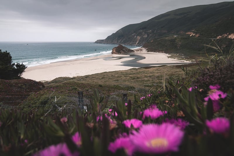 san francisco